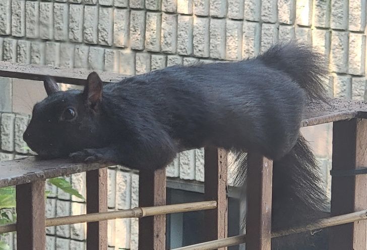 321f15529a90e62c3715c1a19e 321f15529a90e62c3715c1a19e