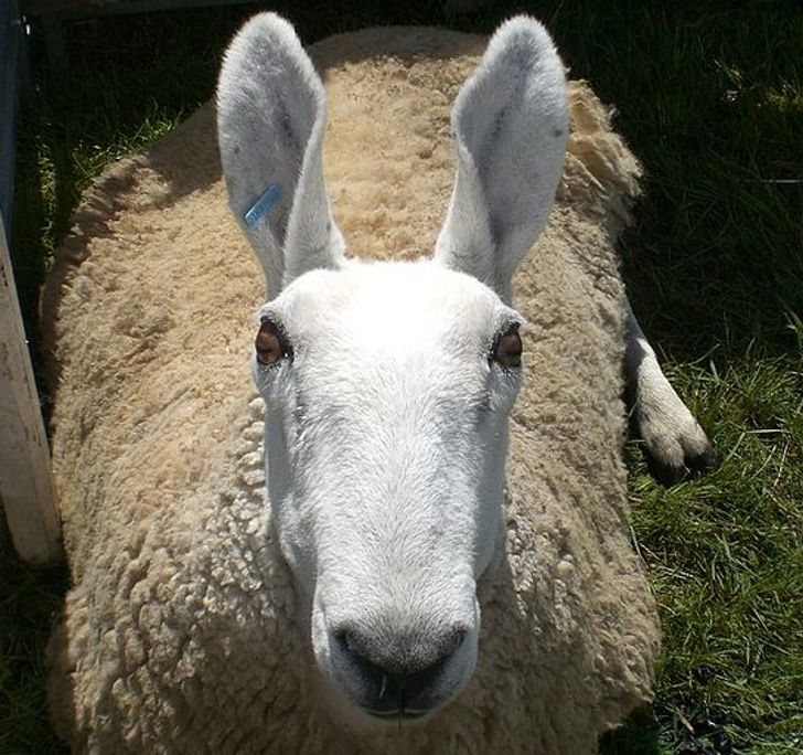 3222a4567c99fd22774f475857