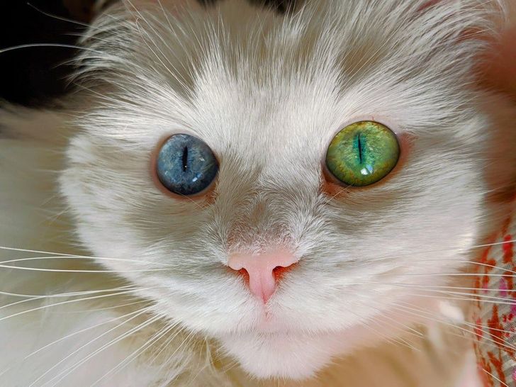 322316568c9978fdd7b2cded7c