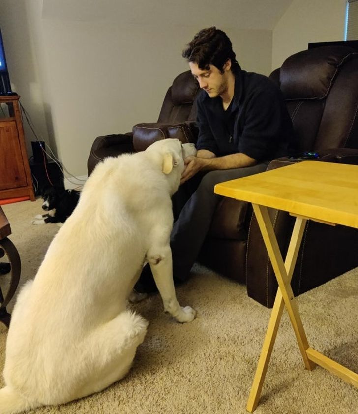 32272c58c0a295455929f35474