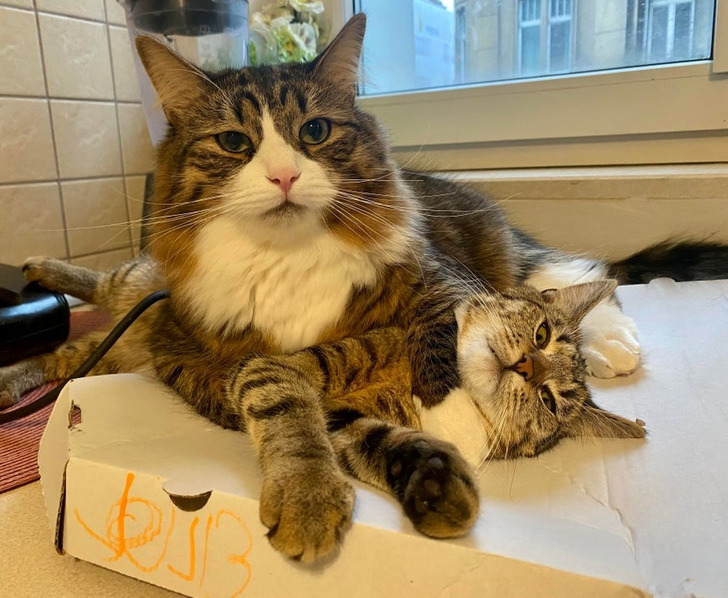 322b25589a9a3f1c7608aa2746 322b25589a9a3f1c7608aa2746