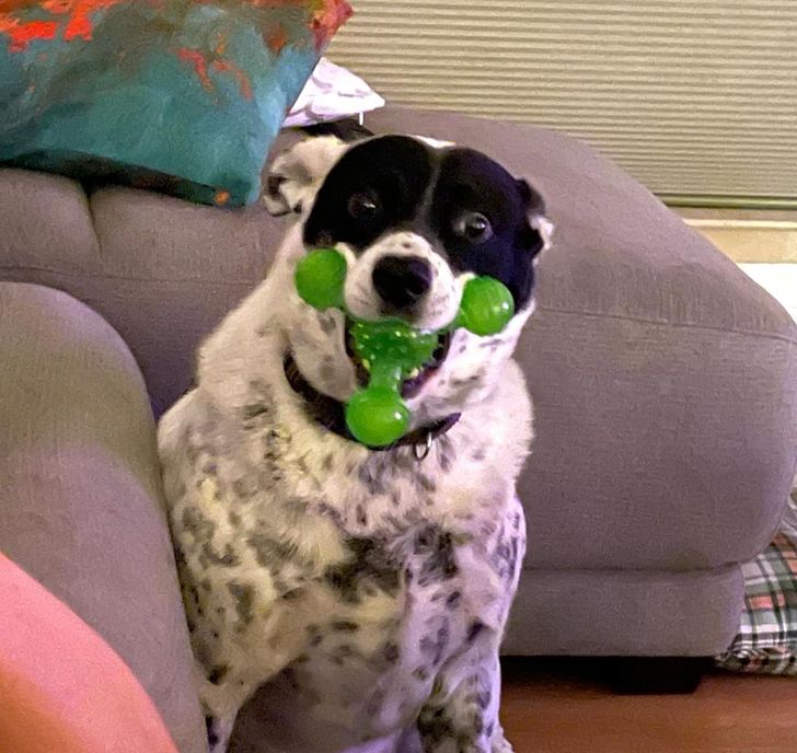 322c3f50168d015da8d1186c91