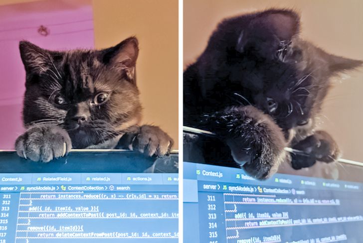 3233a451689143cbe545b442b4