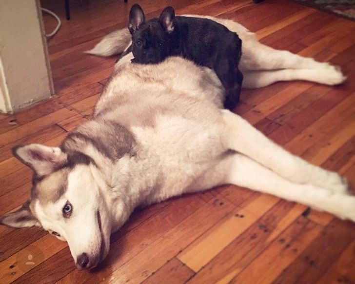 323ca75053a36f0e52a39d8c75