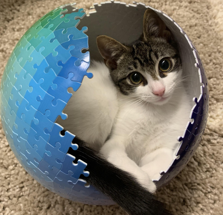 323d105919a1de39bbb7559c3e