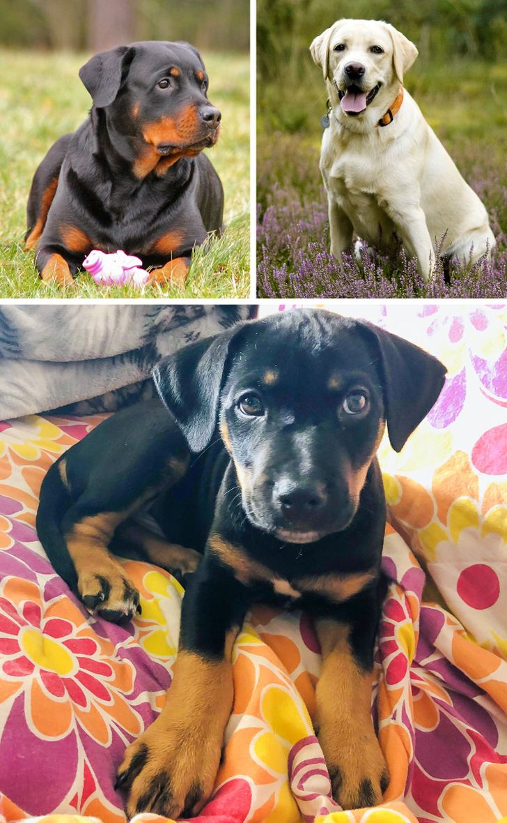 323d115c1282341cfc9eaa4293