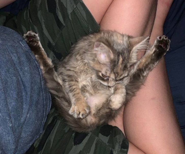 323d5459c2823c755c1d9e0357