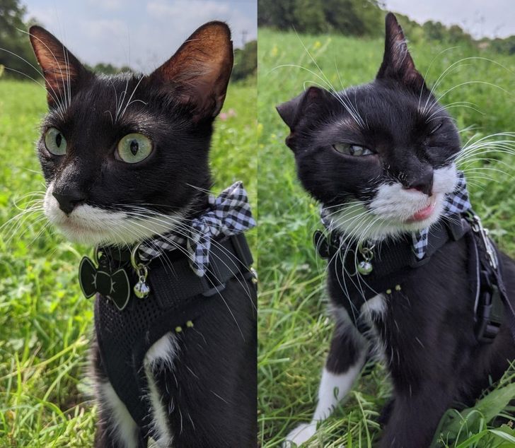 324053500a8d3604cb8ede3a31