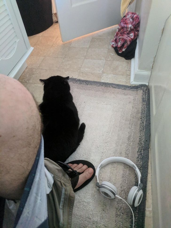 32406b5084a10dbb7184381a1a