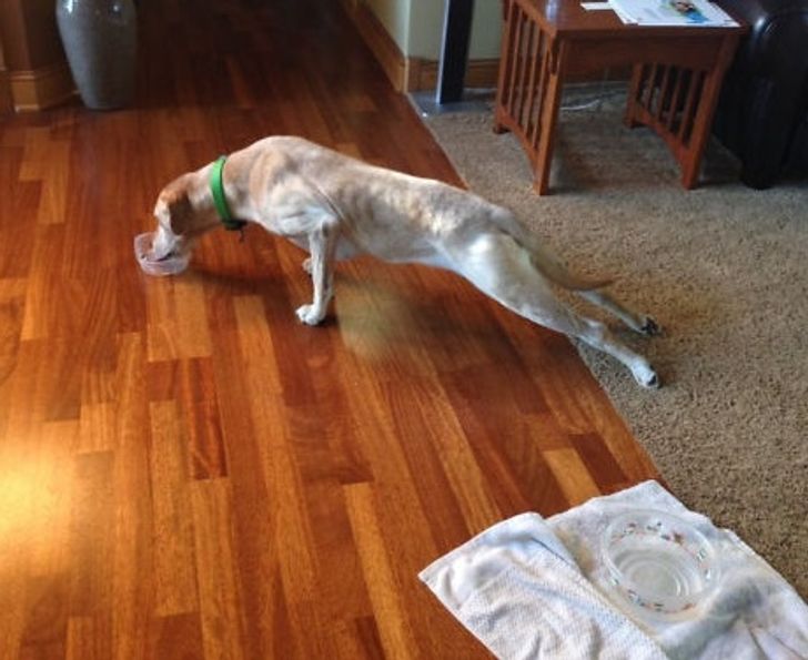 324a07513399596946d846fe31