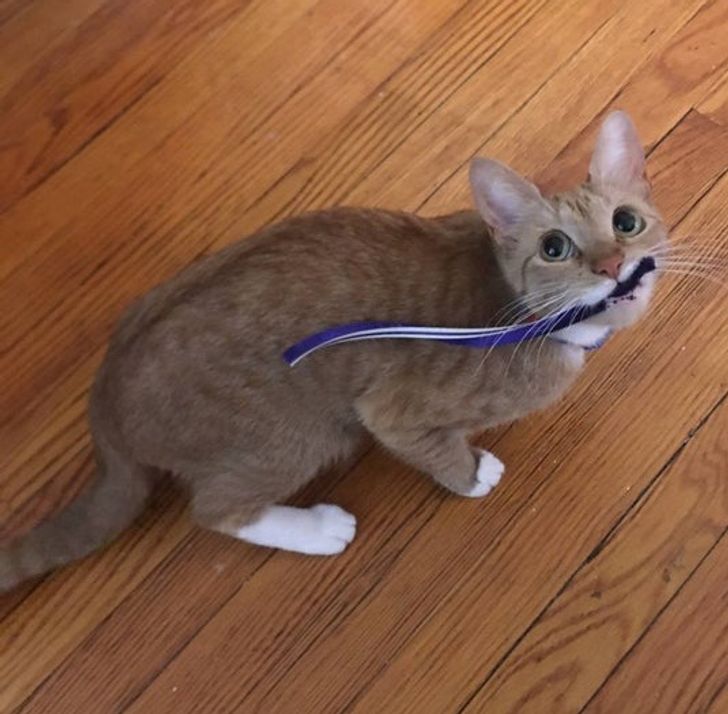 324b555a2eb48d284c706c1a17