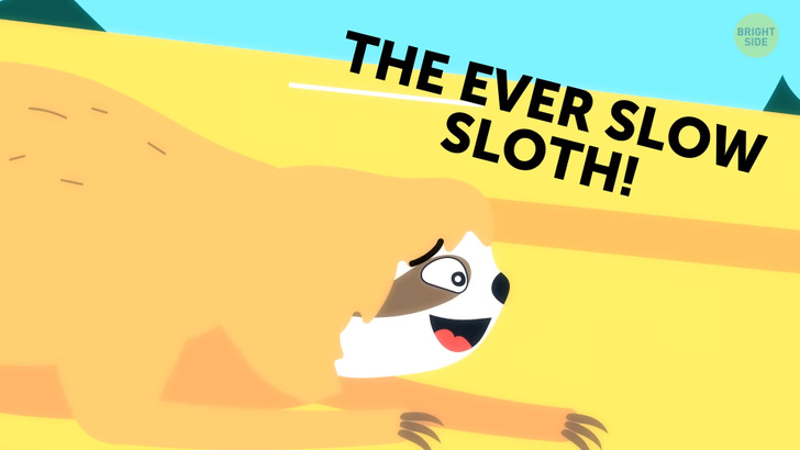 324c275a4ebed00b5634b7587d 324c275a4ebed00b5634b7587d