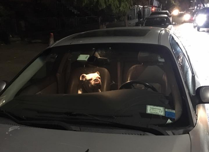 324c6a5a86992876f483534cc3