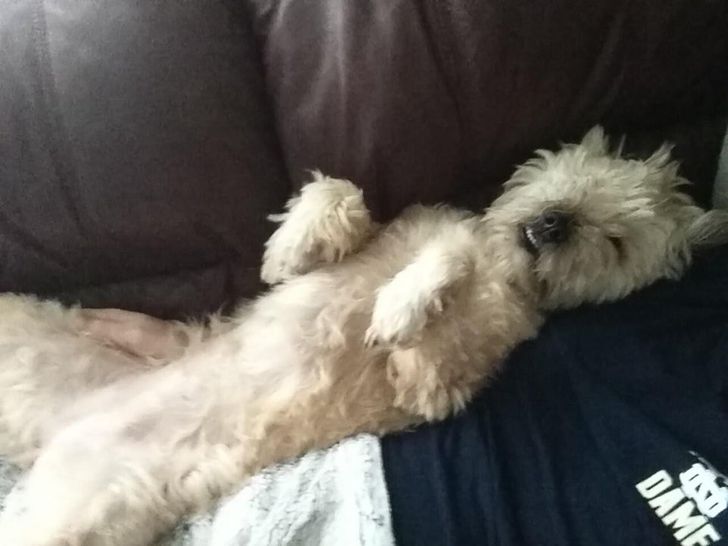 324d2e53439aba3d595d11fc27