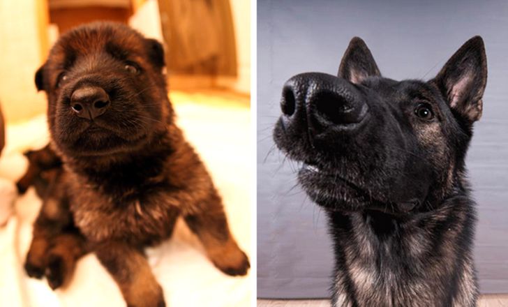 3250955fe787e661d7c99a19eb