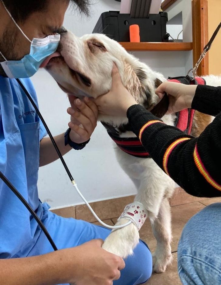 3250c35ae4a46ed7dab91d34b2