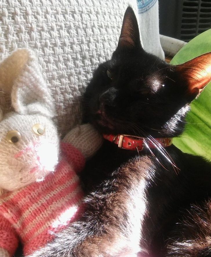 3252e357fcbe988699498e67a8