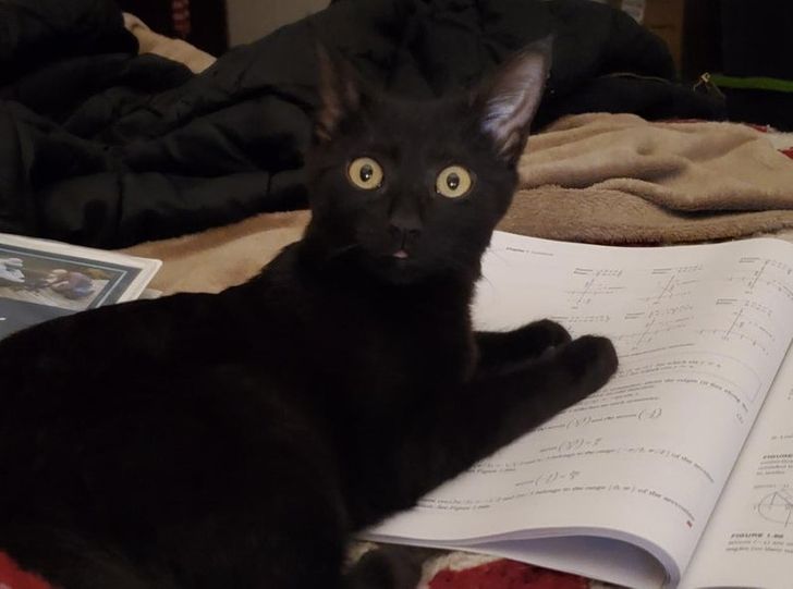 325ce252e99f65ac8cac914d3c