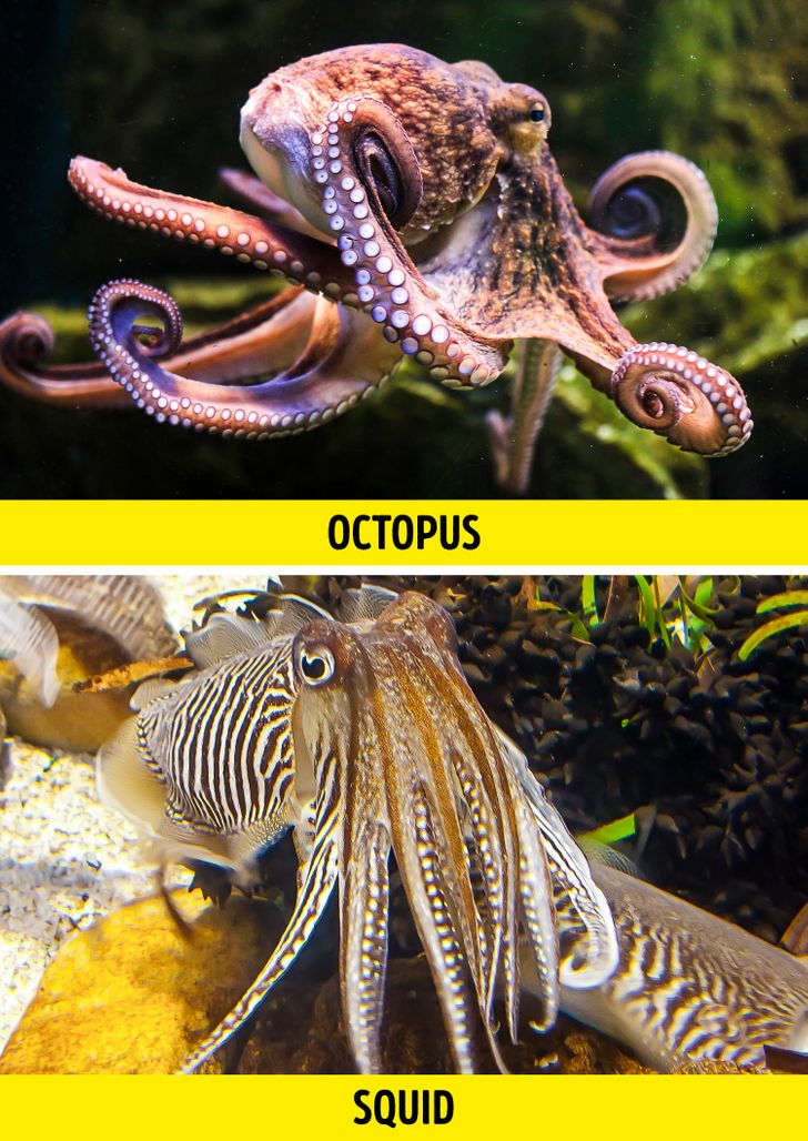 325e41528bb671ffd8b1269dde