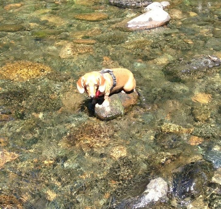 3260e45cf7a03c4c7d43148afc