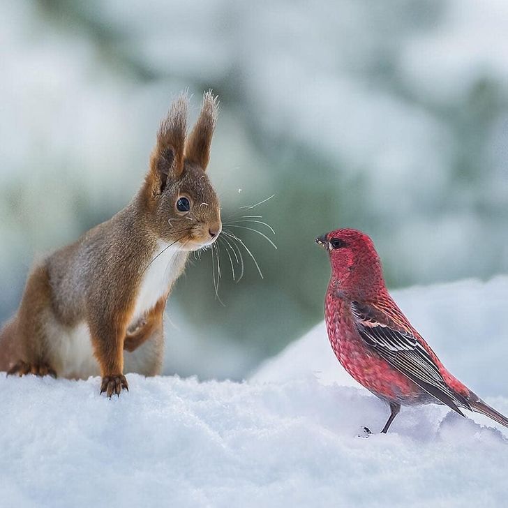 32654a55728b2f9d43f1dedb25