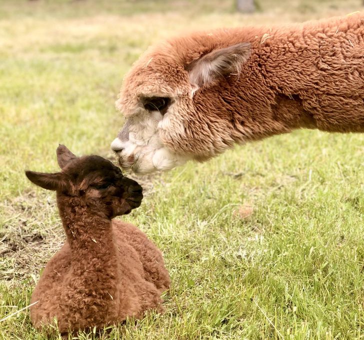 326660556198231e57cc5c9297