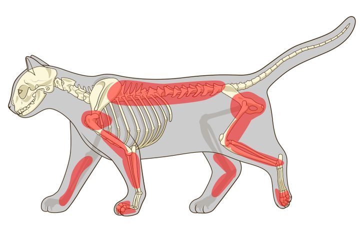 3277e65464a6175939d6d1f5f0