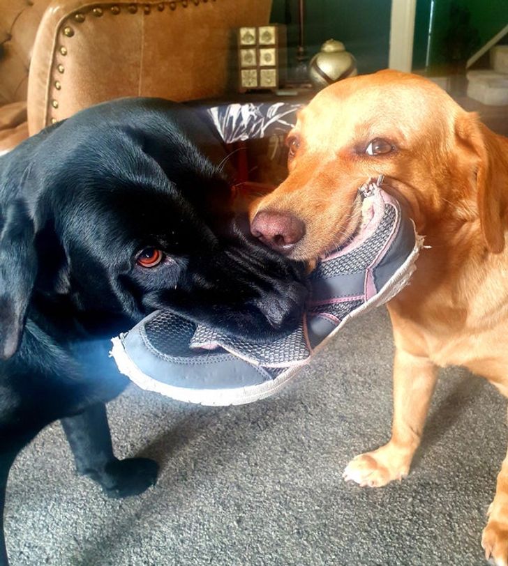 32785452ea8e8b134e5bc81197