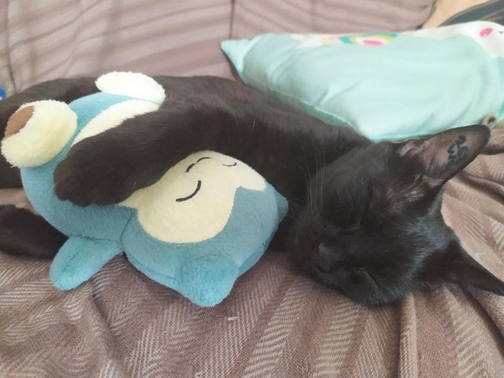 3278b95700bdfbdc2e88b4df93