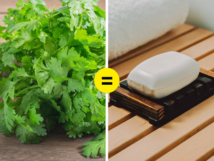 327a1f5158957713d2780180a2