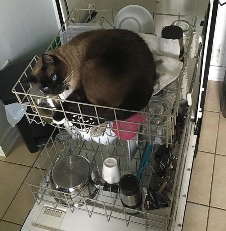 327cb4511abc23139a4122a9c7