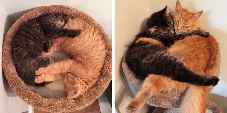 32873156f6bf6d92002f126273