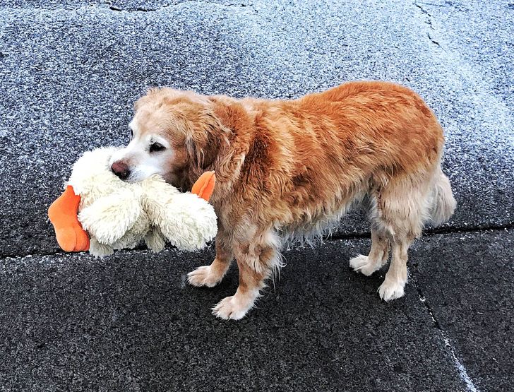 32909c5663a50e888c547690bc