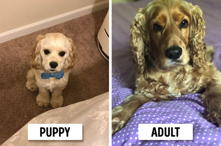 3293d35c6891cbbe24103c22f9