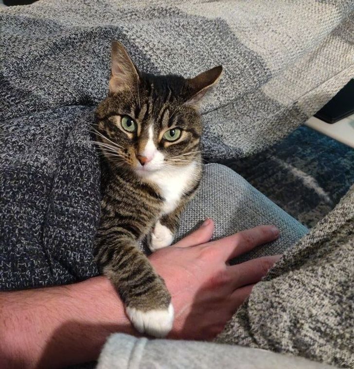 329a275f7392d77b6ca56cda4b