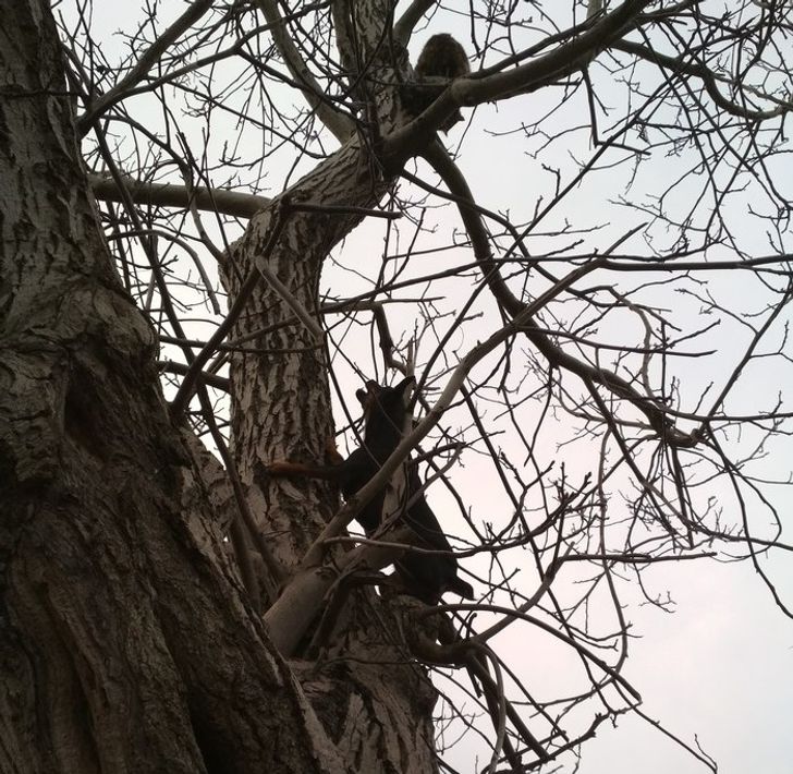 329abd5934a3c808a0e436c6fb 329abd5934a3c808a0e436c6fb