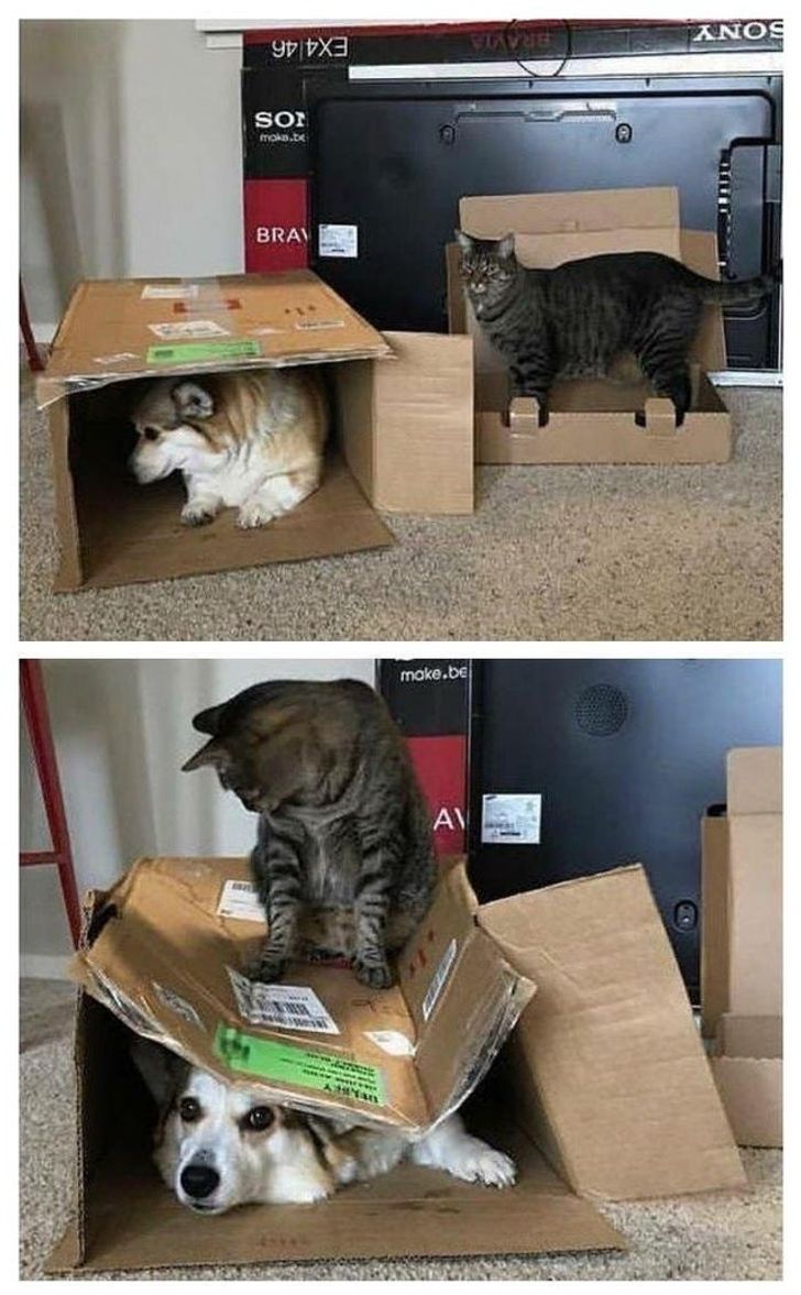 32a1665564a1a87130aa87e575