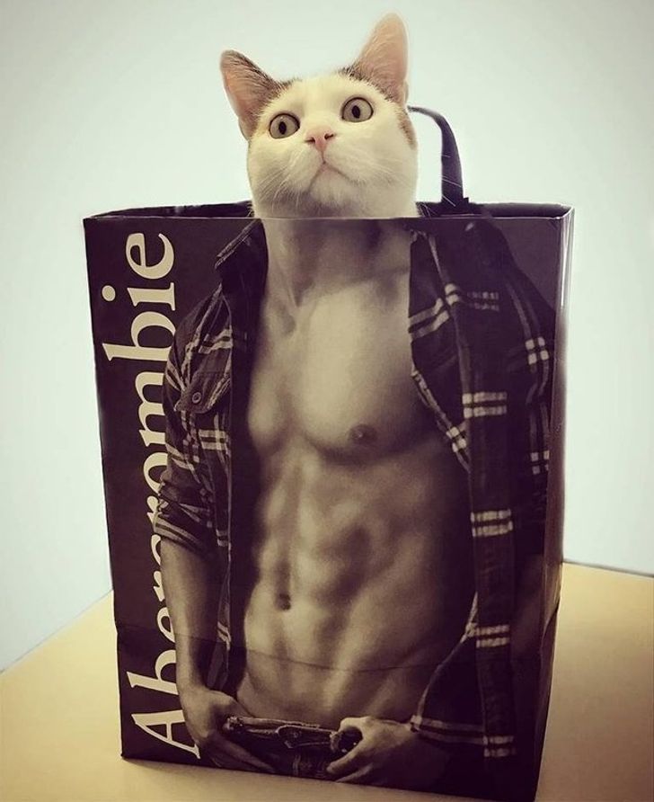 32b3ca5f328cc30ad54fd5b725