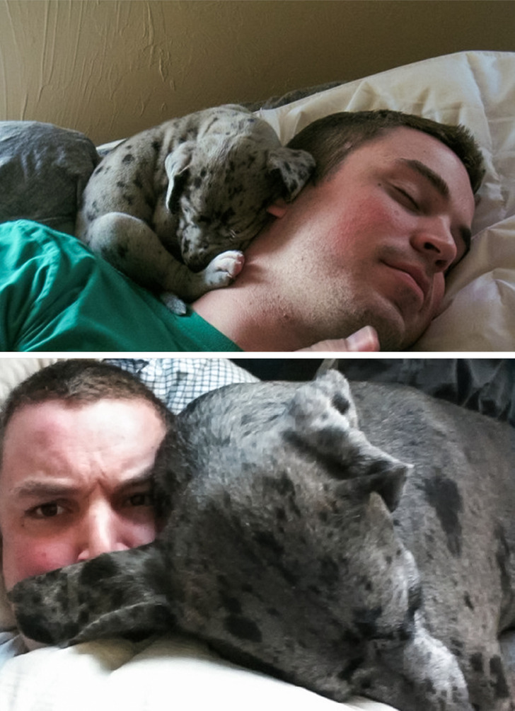 32b70e59768365b714001fcdb2