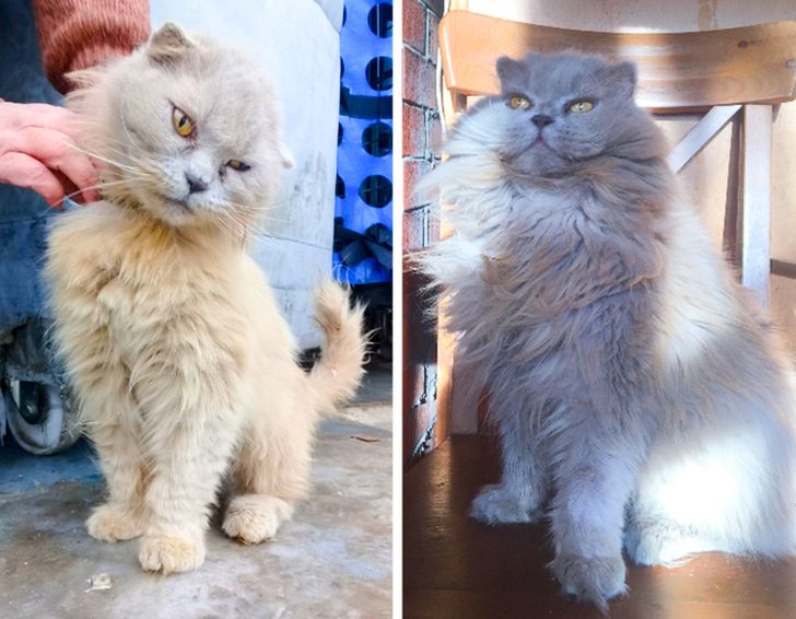 32b72954258e4ae763fa331622