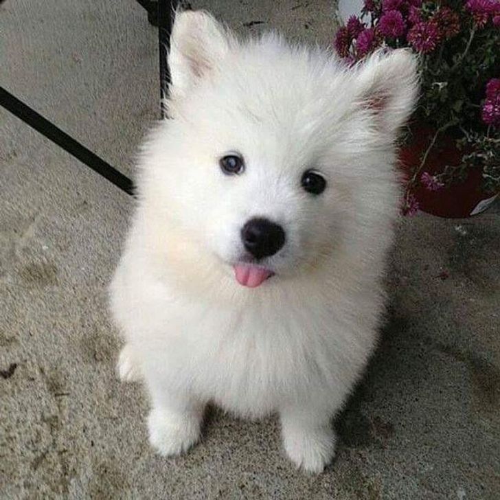 32b78454ba87ce2ee353a10bbf