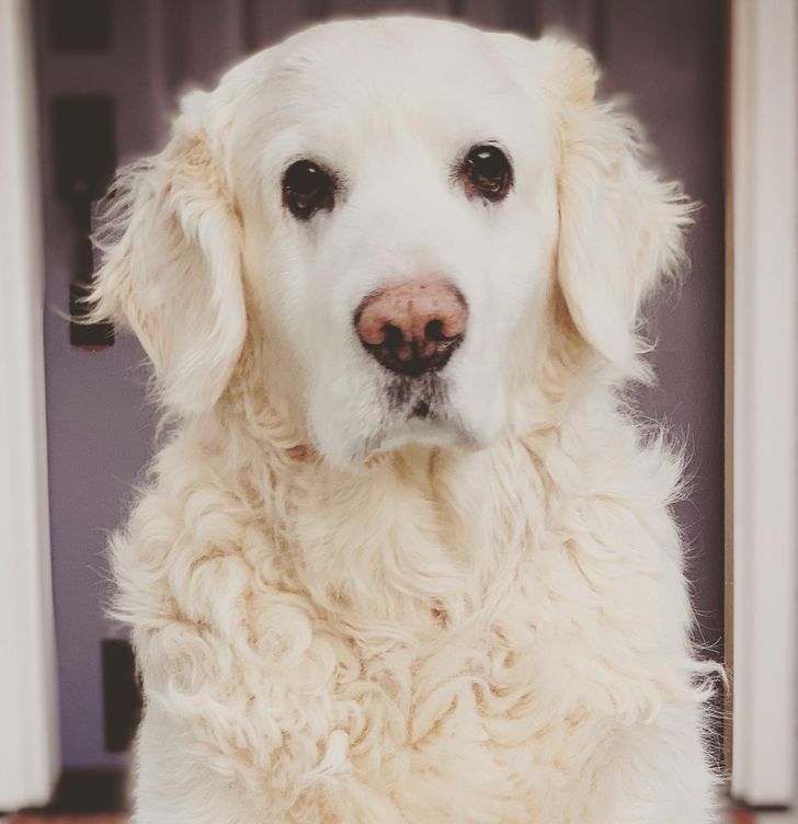 32b9145f148a243e24931cfd86