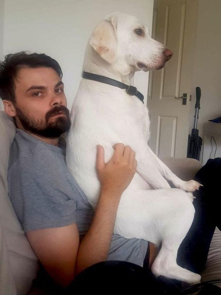 32be3d58d399fd9e19da52c1e6