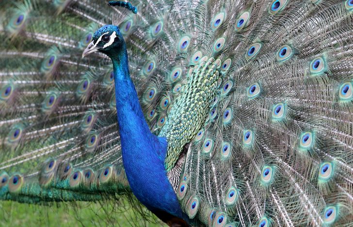 32c1165a1f9ea31529e98c0ef7