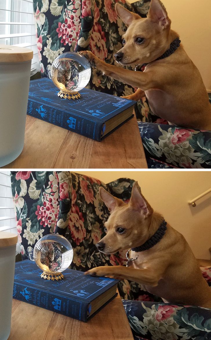 32c3975ccf893209205be182e8