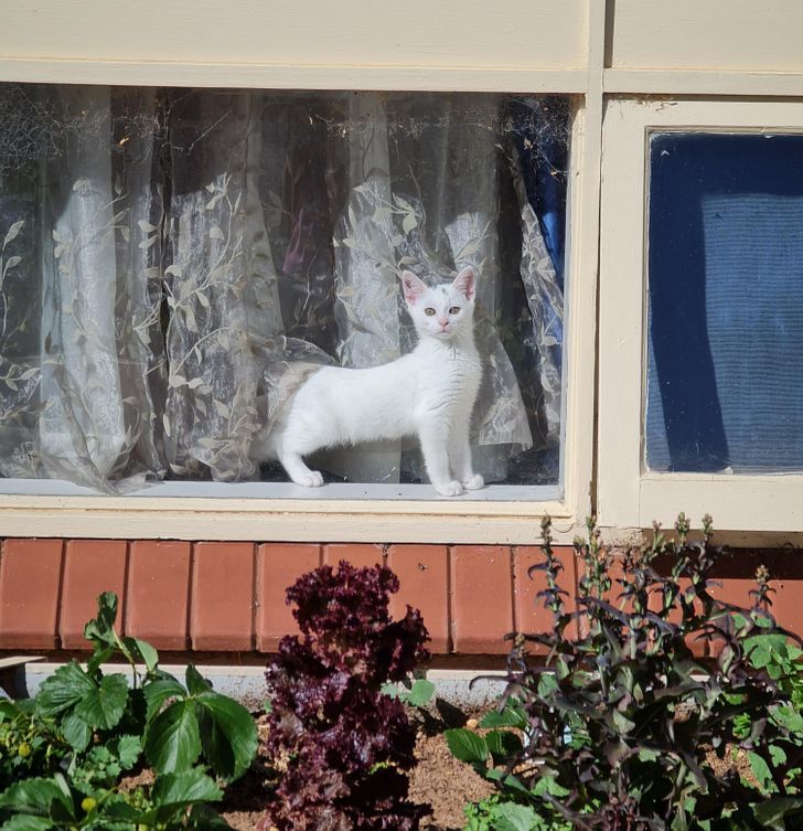 32c8455d04b2d12315e36380dc