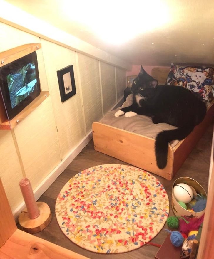 32cb9653088a21b3a65205ab94