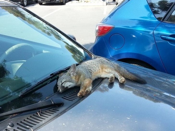 32cf115ce9811bb28818470b3b