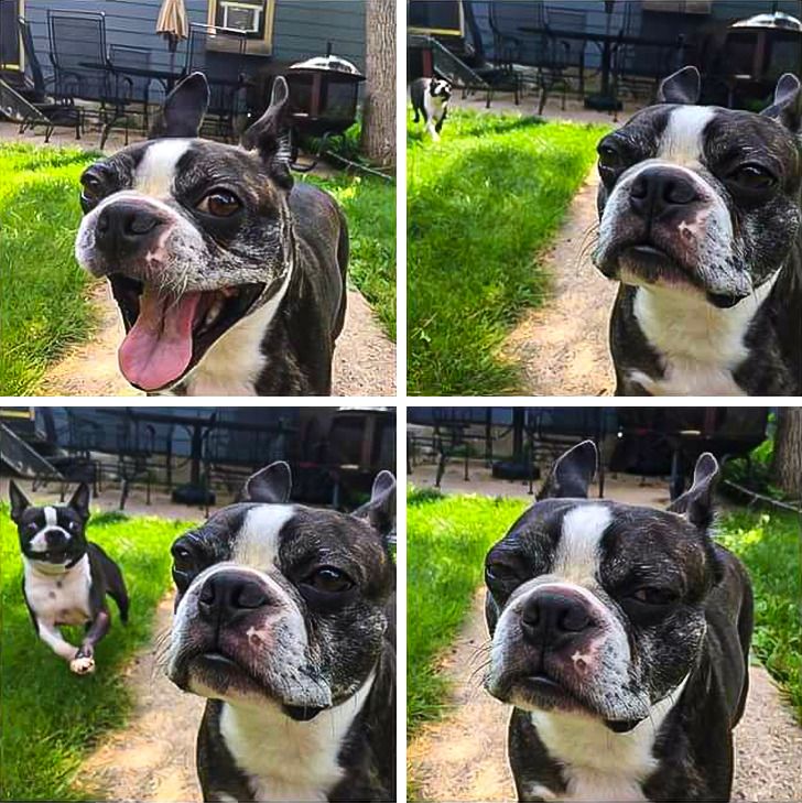 32cf1a5186b0070678fd6dcc57