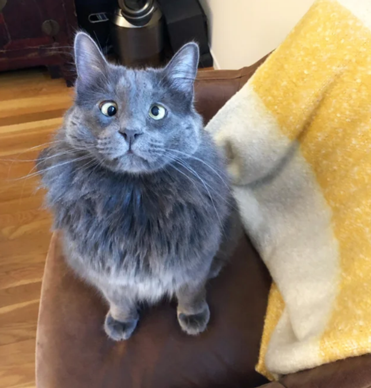 32cf2f53c288c7d5e373d9817c